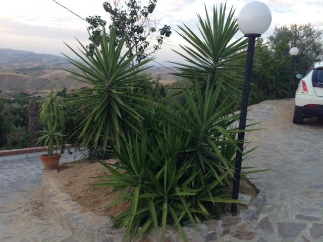 סן קטלדו B&B Profumi Di Sicilia מראה חיצוני תמונה